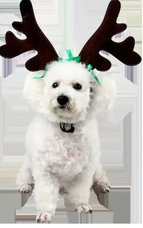 Christmas Headwear Accessories for Dogs and Cats - Zupora