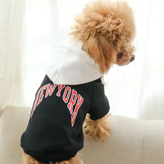 Casual Hooded Sweatshirt for Pets in Terry Cotton - Zupora